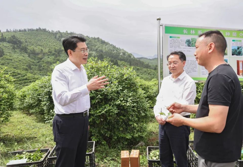 刘烁督导安全生产工作并巡林时强调 坚决守牢安全生产