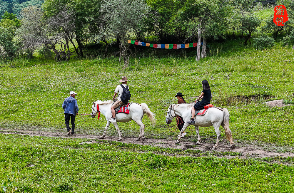 九寨沟的后花园,隐世仙境中查沟,弥补九寨沟没有草原的遗憾_腾讯新闻