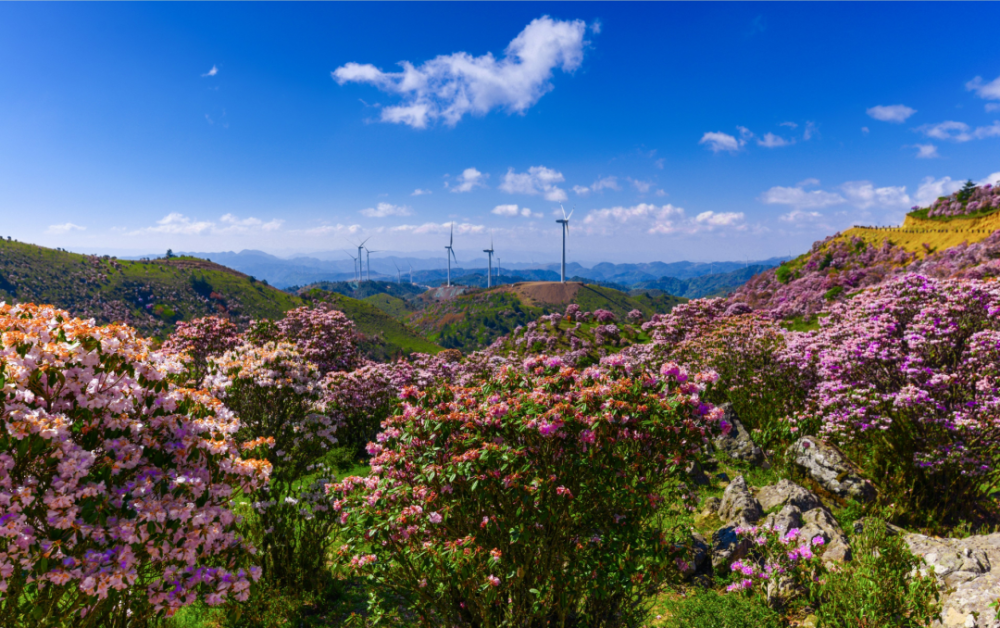 【美丽四川】走进大凉山——宁南_腾讯新闻