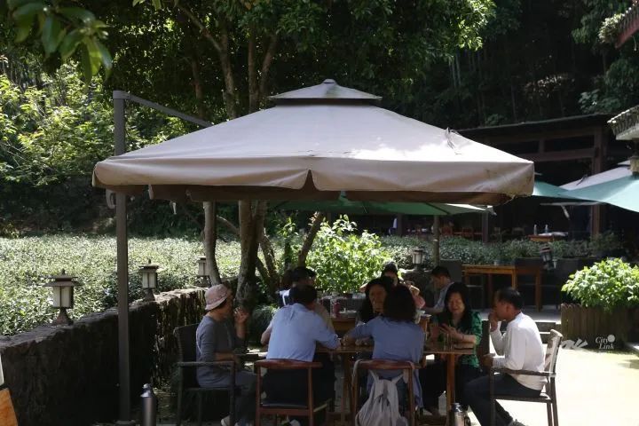 随着私家车的普及,越来越多的人将休闲时光挥洒在风景如画的龙井景区