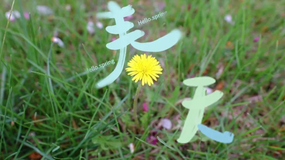 图片