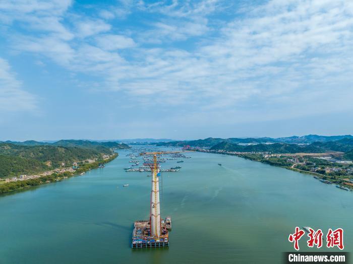 全新首页焕新登场