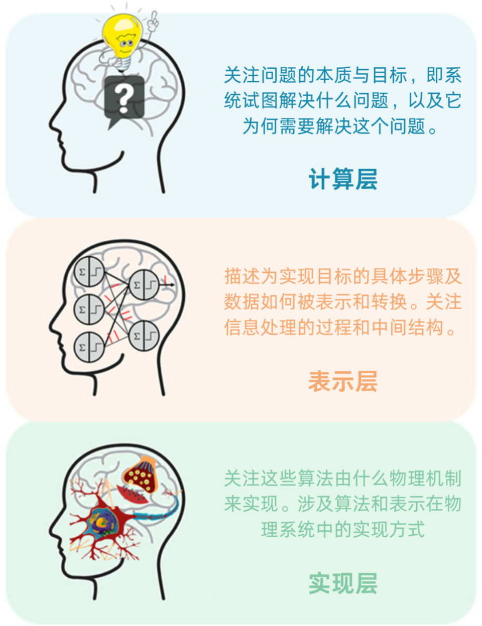 能否用控制论思维，读懂每一个神经元的暗语？-腾讯新闻