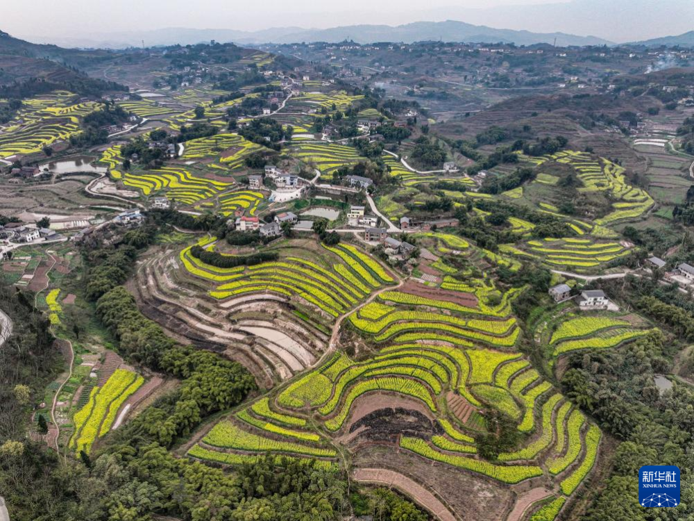 重庆綦江:春回大地 抢抓农时