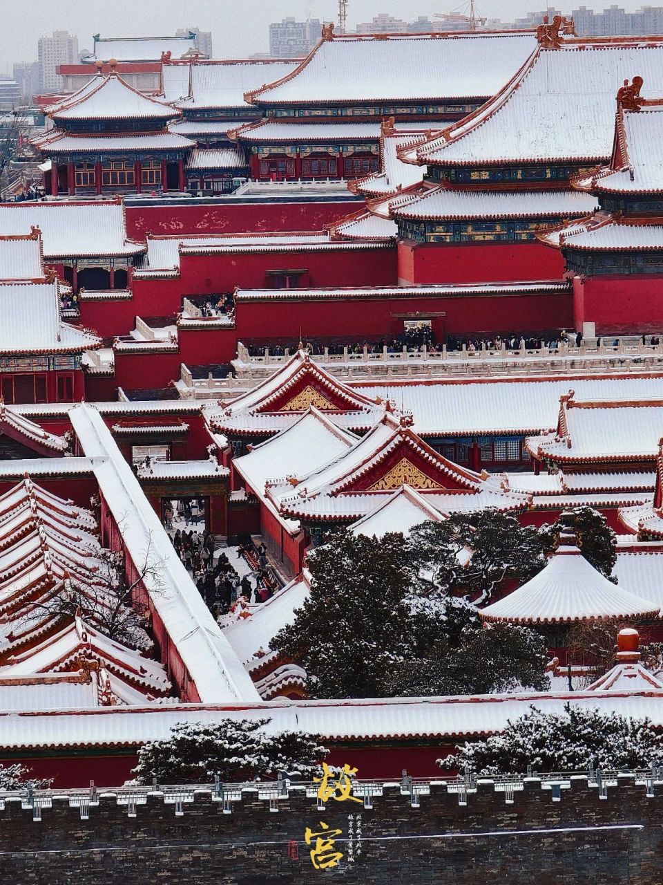 最美雪景怎么少得了故宫呢?