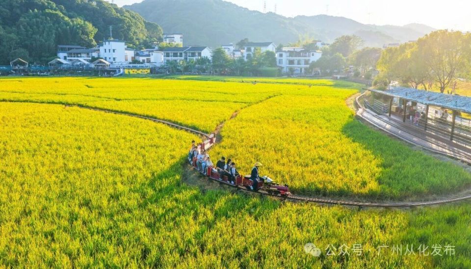 广州从化：从“米埗”到“美埠”，一渠活水浇开富民花_腾讯新闻