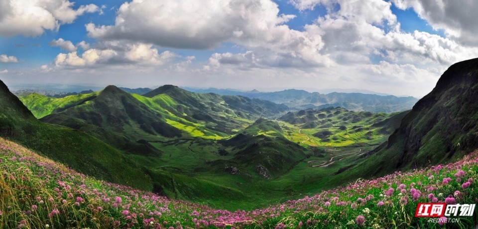 这边的风景21℃,贵州毕节喊长沙人民去避暑