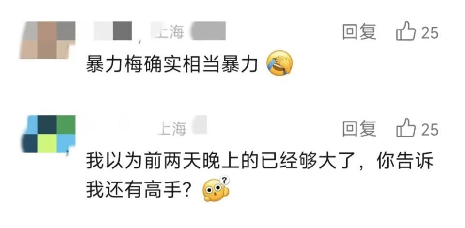 上海人,"暴力梅"又来了!中央气象台继续发布暴雨红色