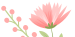 赏花不迷路，详细攻略带你看遍繁花