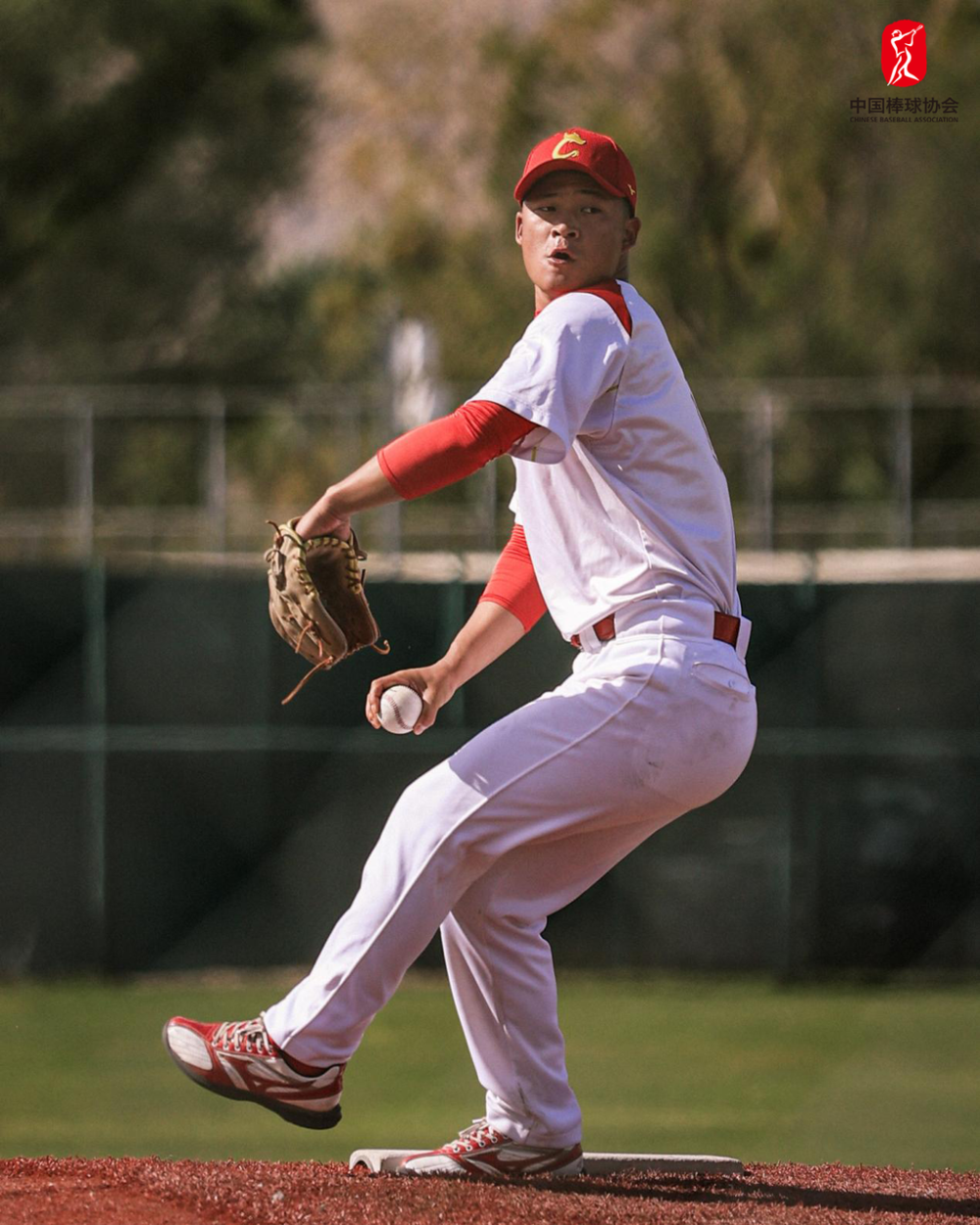 3月3日起 中国棒球冲击世界棒球经典赛