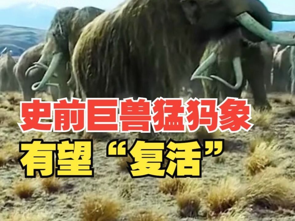 猛犸象有望在2028年前复活