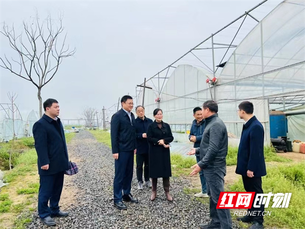 工行常德分行开展种植e贷走进乡村助春耕系列活动