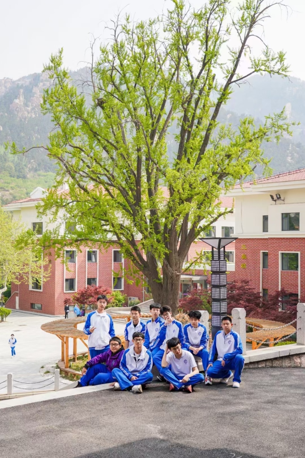 学校开展的研学,艺术节,趣味运动会,樱桃节等活动,及历史文物研究