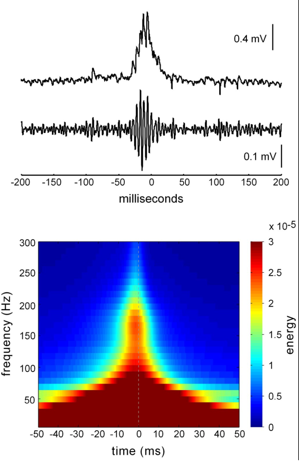 布扎基自传：记忆研究的黄金年代，还能再现吗？-腾讯新闻