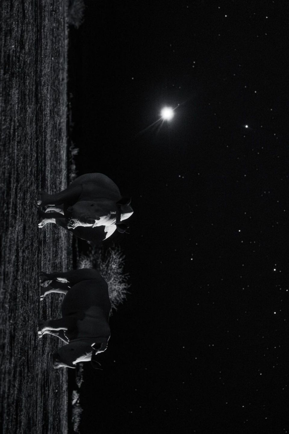 星空摄影师是黑夜里的孤勇者