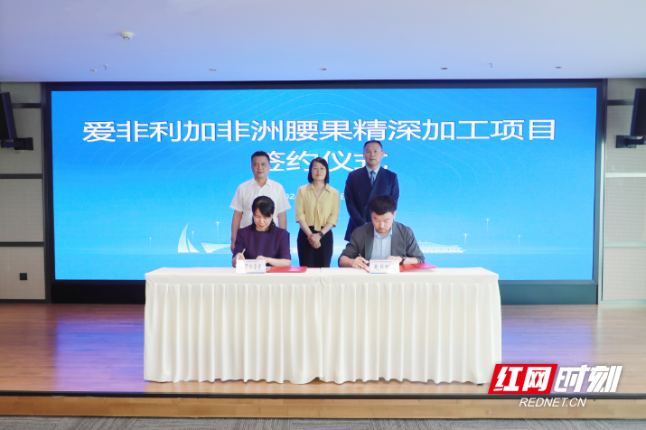 爱非利加非洲腰果精深加工项目落户自贸临空区