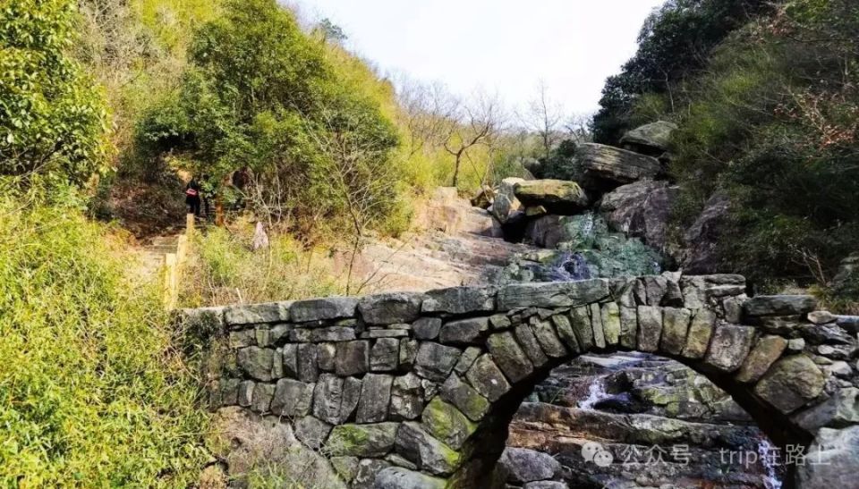 宁波这个春日古村太美了,古井,古树,古宅,古道,春色