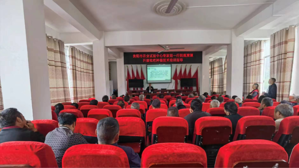息烽县鹿窝镇开展枇杷种植培训