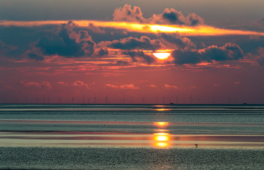 美丽的江苏盐城滨海湿地