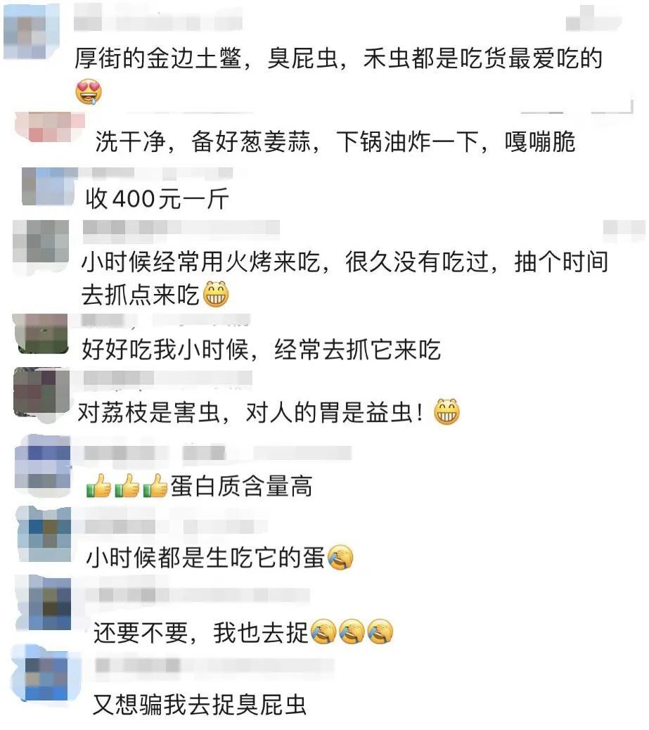"花400元一斤的高价来收购甚至有人不惜有的则会用来煲汤,煲鸡.
