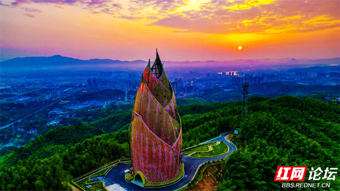 摄影:邓燕盛 陈颐龄 刘太平▲图说:桃江县桃花江竹海景区内的"大