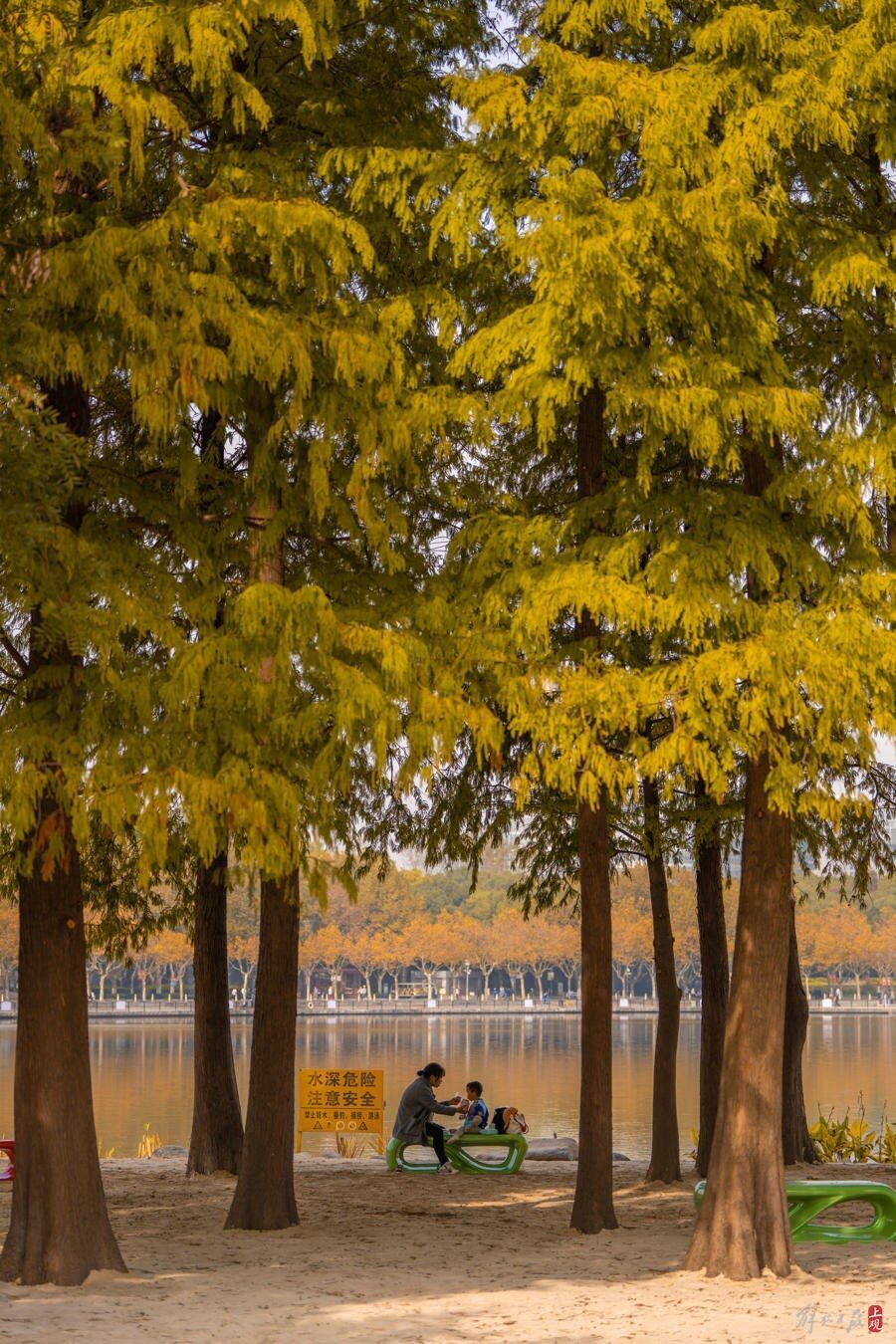 秋色宜人来这里感受金秋浪漫