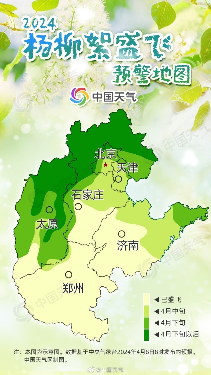 漫天飞雪2024杨柳絮预警地图来了京津冀即将进入盛飞期