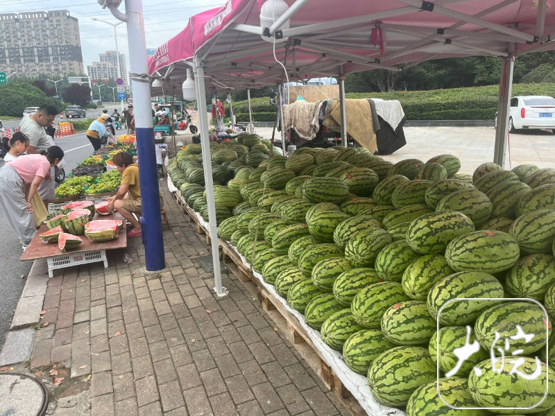 潜山路一街头瓜摊,有市民在购买西瓜"主要卖的是硒砂瓜,也有甜王等