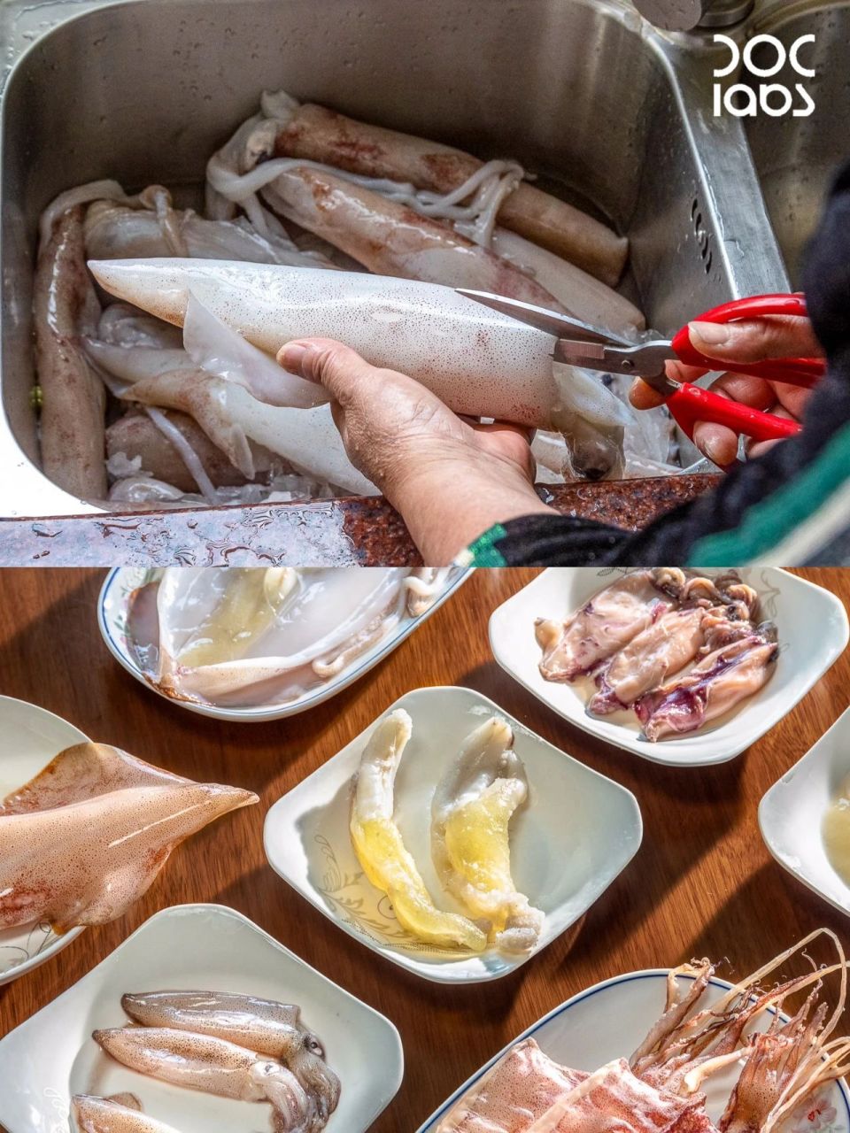 你为爱奔赴的样子,像极了鱿鱼