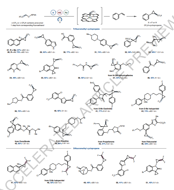 的步骤,作者想知道这种模式是否可以扩展到羧酸衍生的其他自由基前体