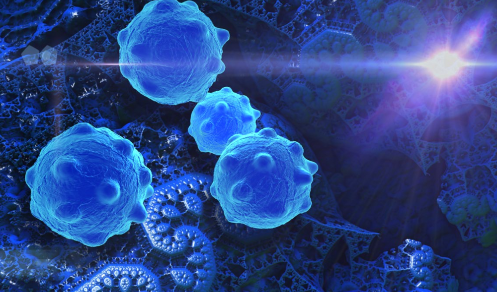 乳腺cr是什么CR：识破肿瘤细胞的“装死”计谋！科学家发现，化疗激活WNT通路是乳腺癌细胞进入休眠状态的关键_https://www.jmylbn.com_新闻资讯_第2张