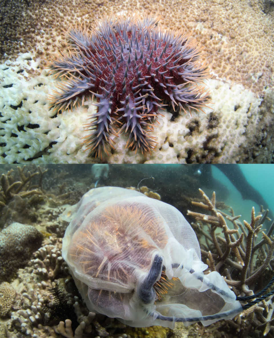 体育地理 | 弄潮逐浪,请到天涯海角来