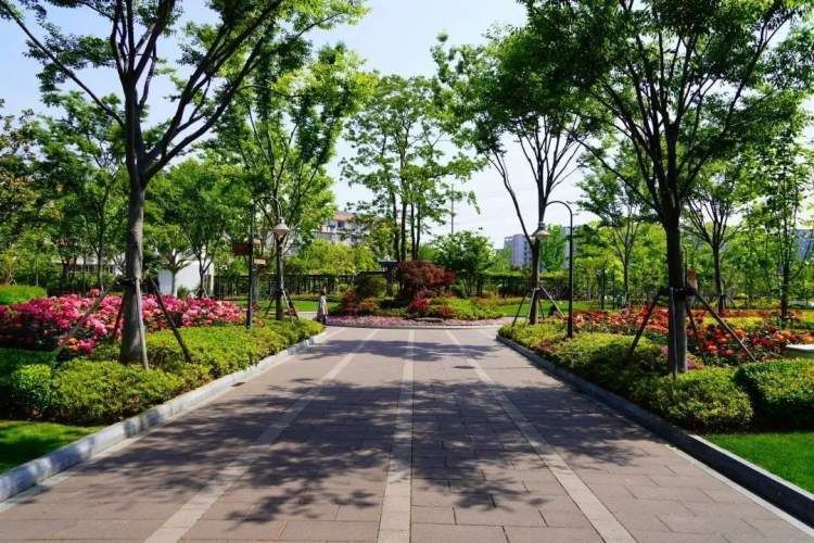 园来如此丨第十三站从社区绿地破茧而出的永和公园