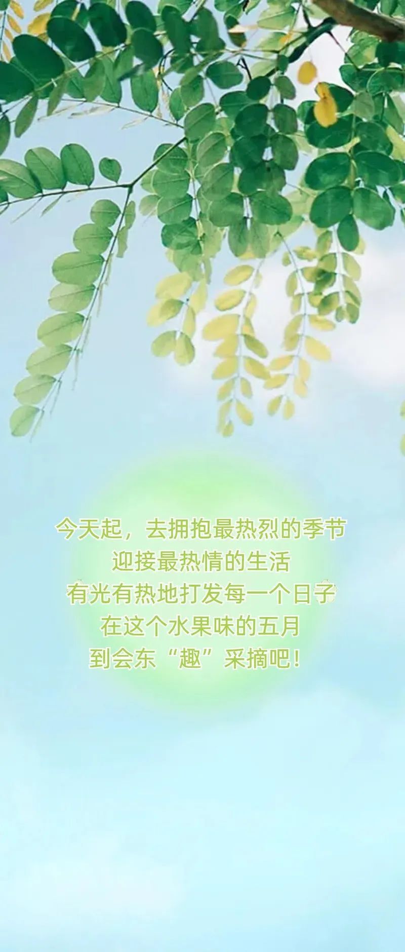 5.19 中国旅游日特辑:初夏到会东"趣"采摘吧