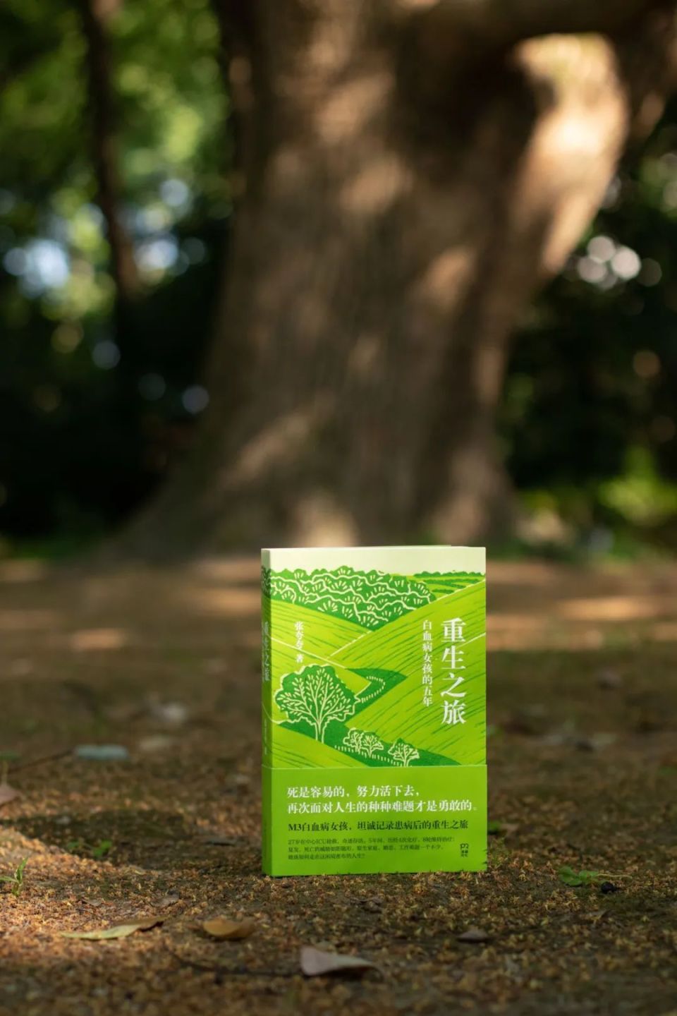 与病魔斗争,一个白血病女孩的重生之旅