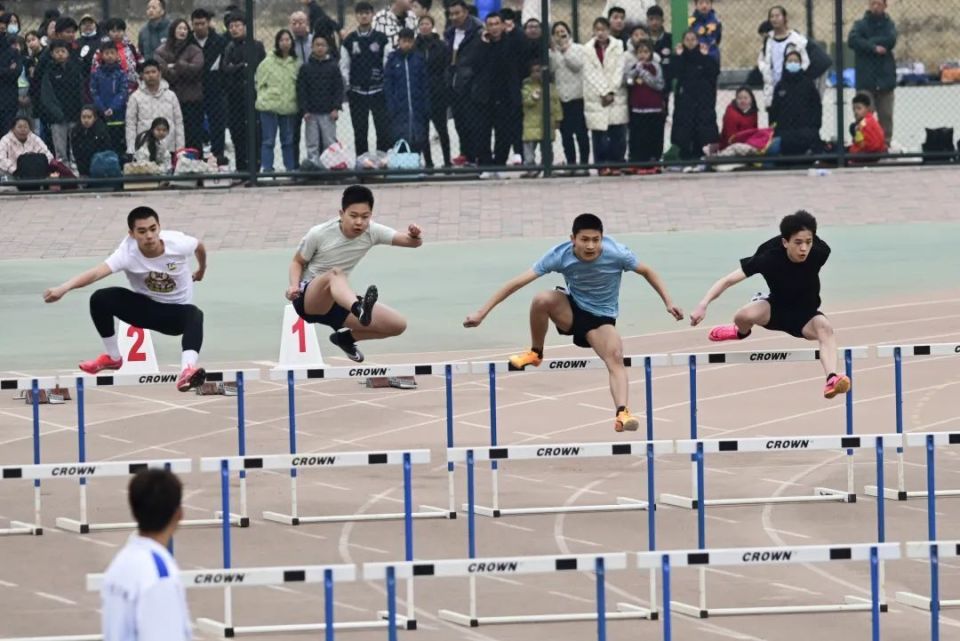 扶绥县崇青园中学图片