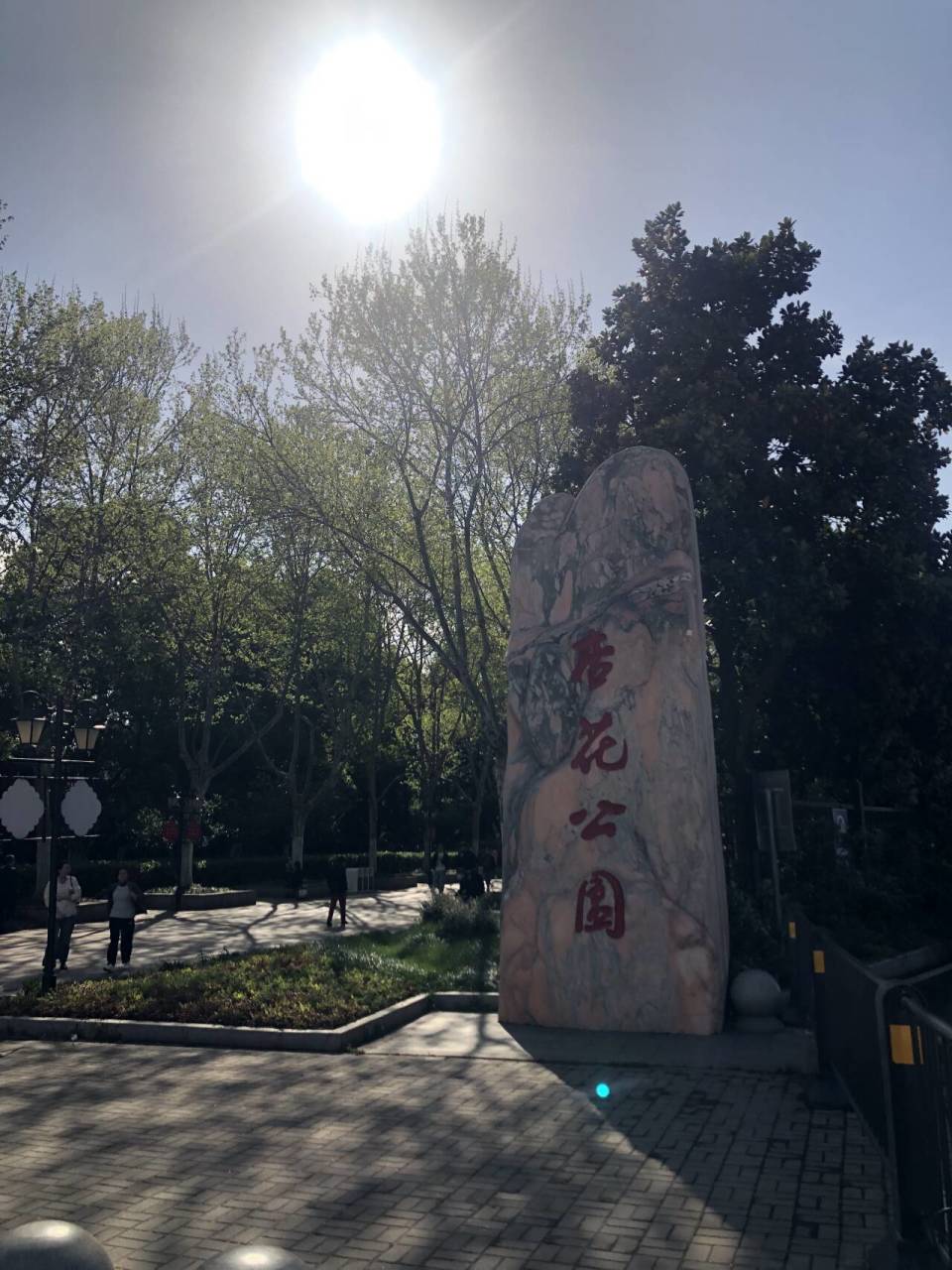 杏花公园坐车图片