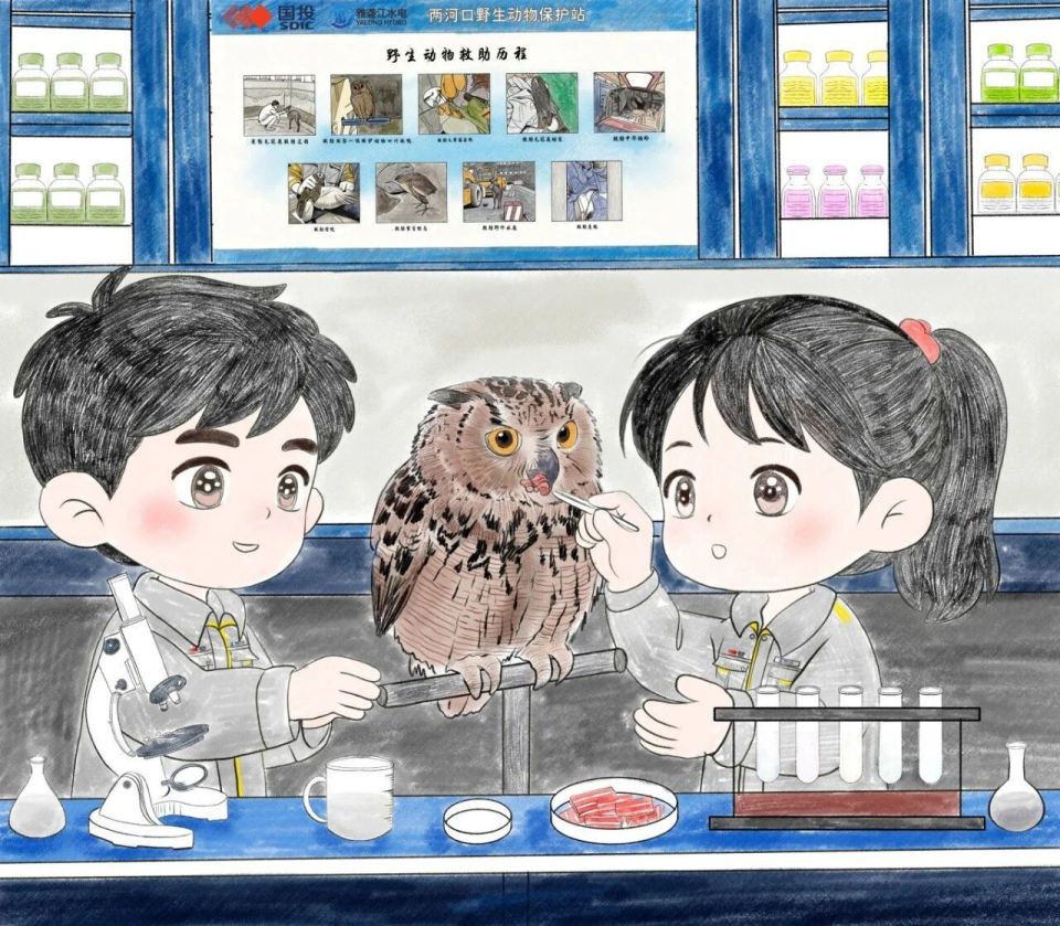 雅砻江畔的生态灵境：山河共生，万物栖居_腾讯新闻