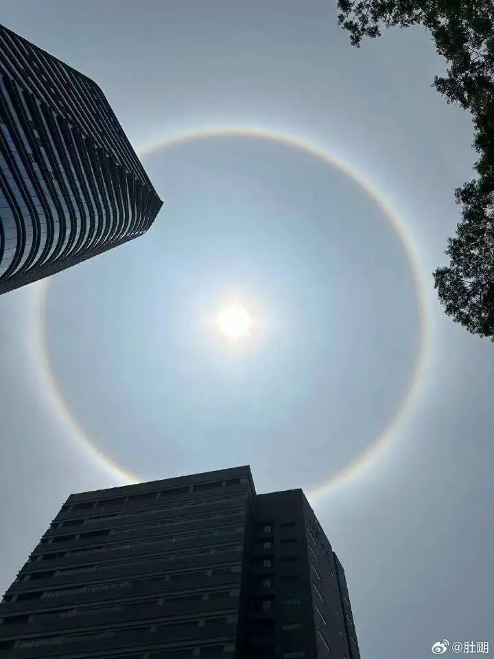 深圳惊现"日晕"!_腾讯新闻