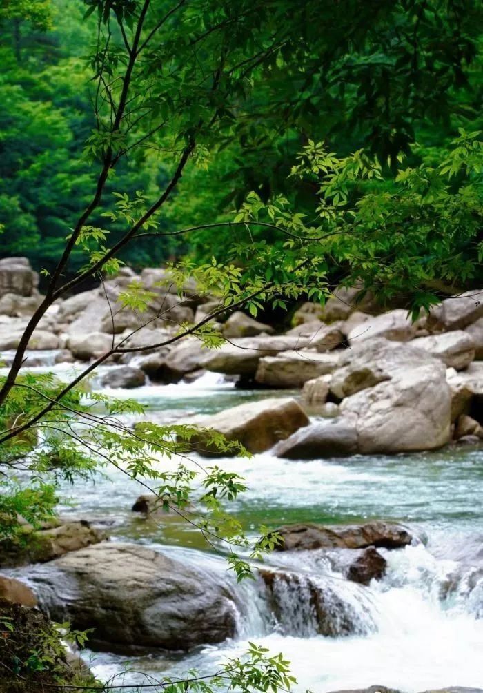 汉中(市区)——黎坪景区直通车09:30 汉中高铁枢纽站(汉中高铁站出口