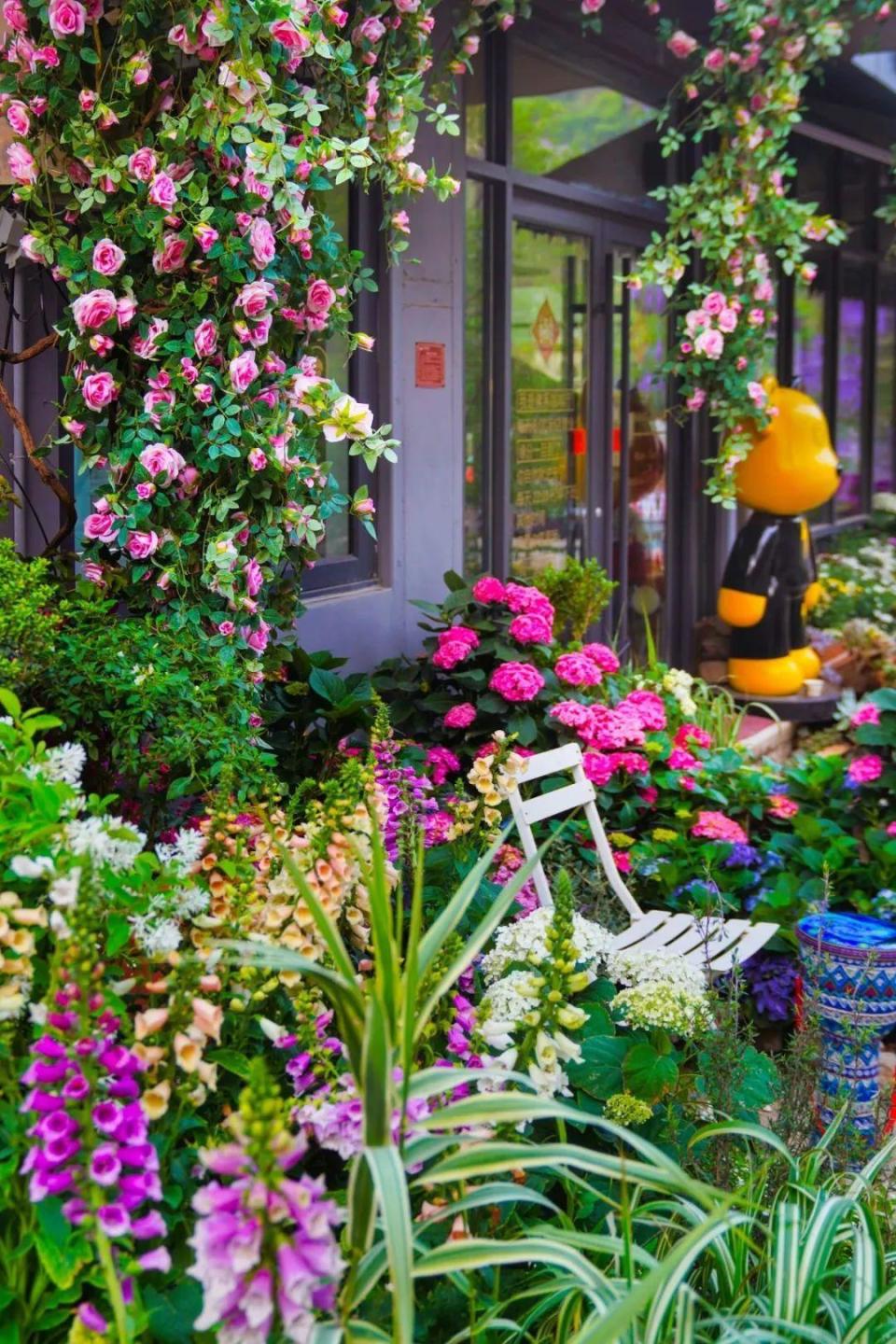 红叶柿岩游客中心检票口,经检票登记后免门票入园(每人仅限使用一次)2