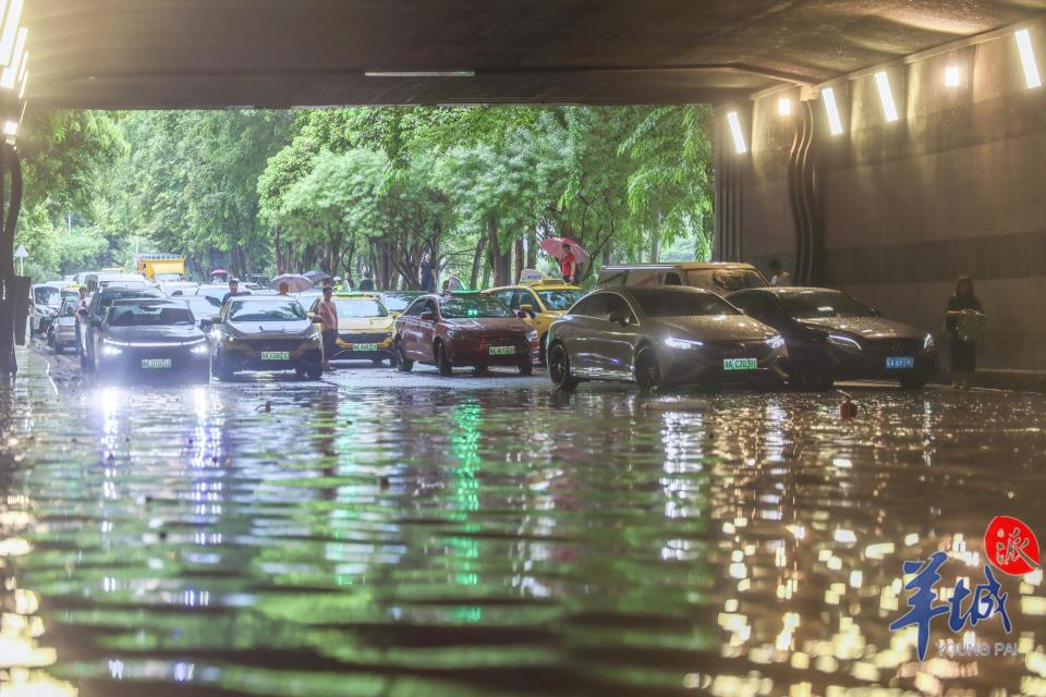 图集|大暴雨引发隧道积水严重,交警与相关部门紧急清理现场并恢复通行