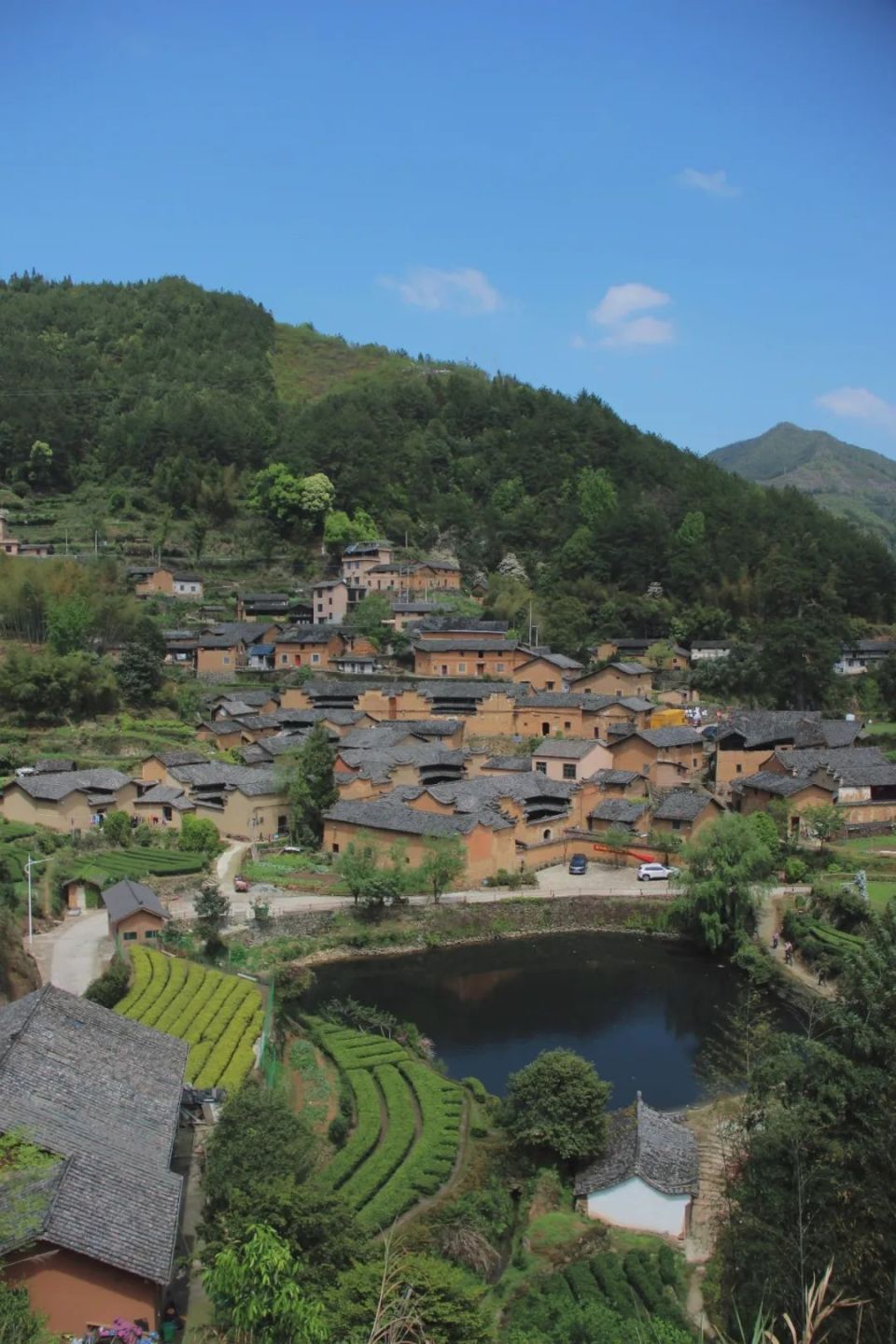 春游丽水:打卡松阳古村的春天