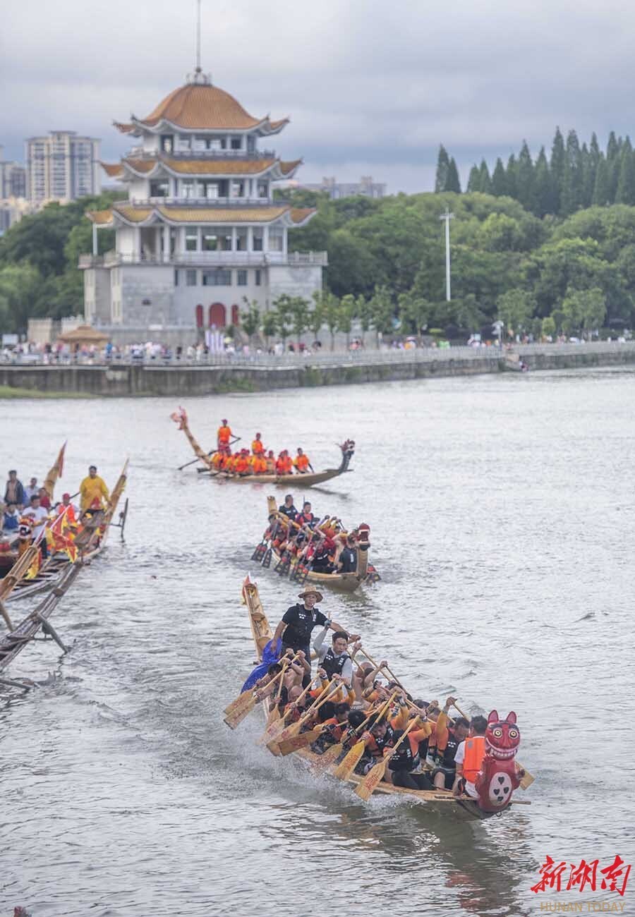 划龙船  迎端午