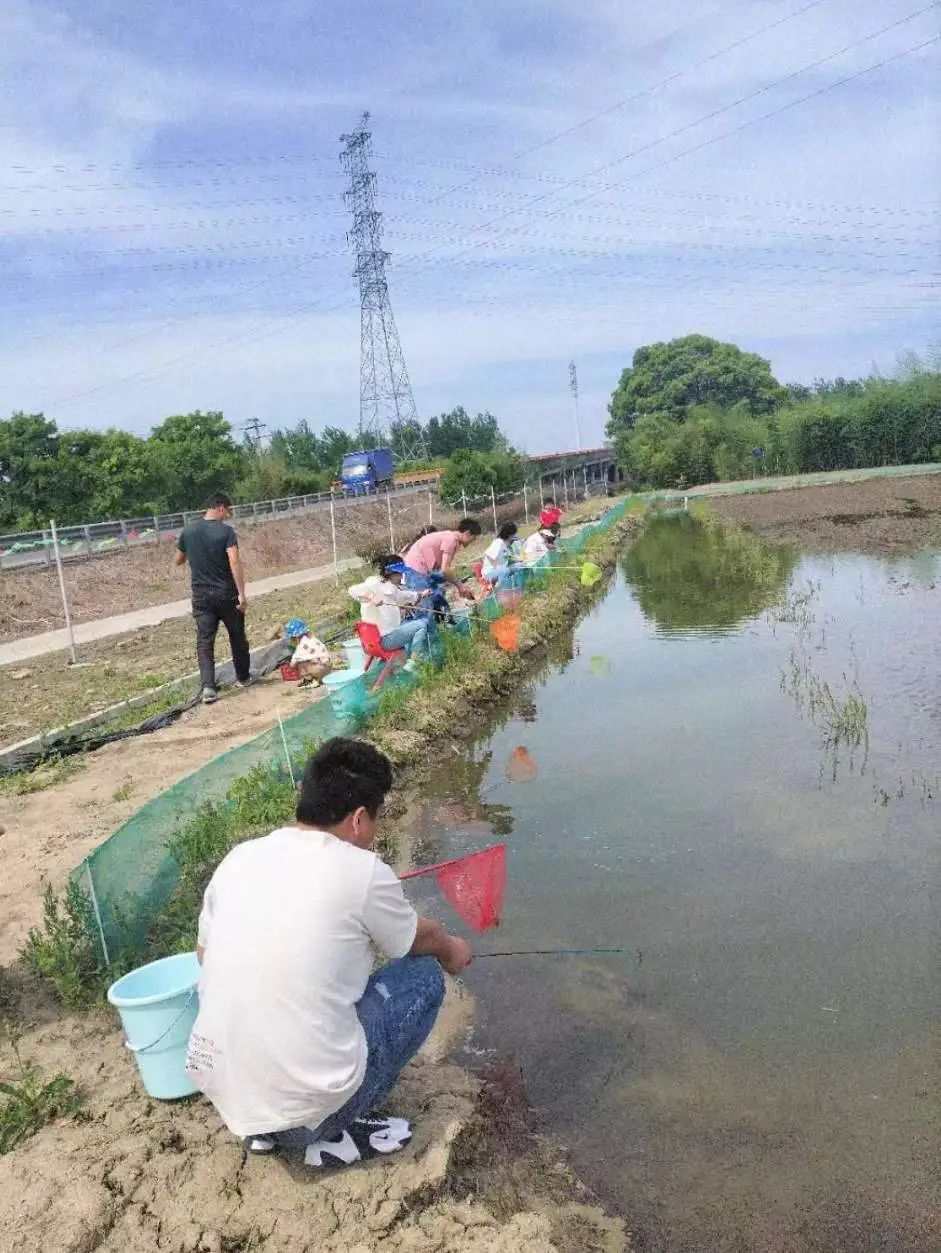 渝北小龙虾垂钓基地图片