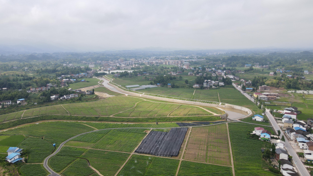 四川达川初夏田园好风光
