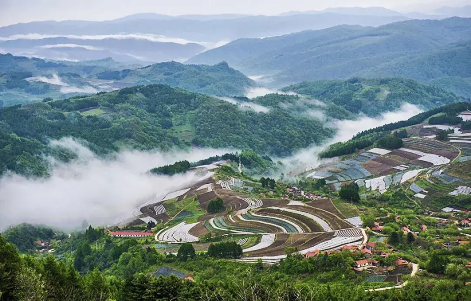 收好这份「吉林省赏花地图」,赴一场春花盛宴!