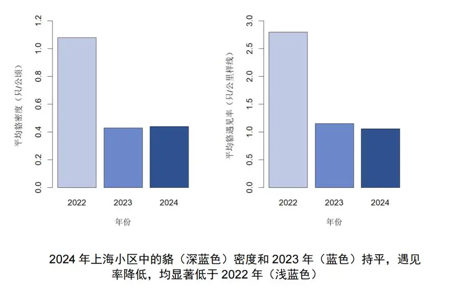 野兽进城，伤人，还学会了看红绿灯