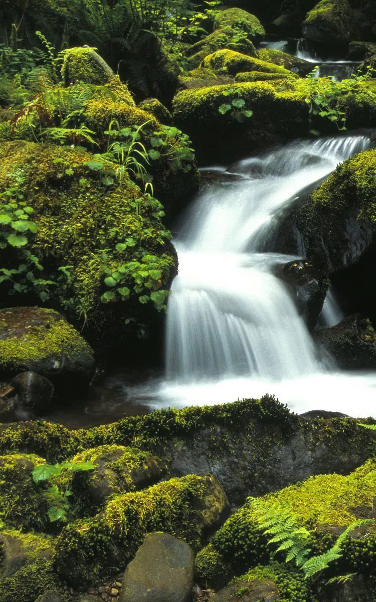 山间清泉流不尽,溪畔潭水绕无边_腾讯新闻