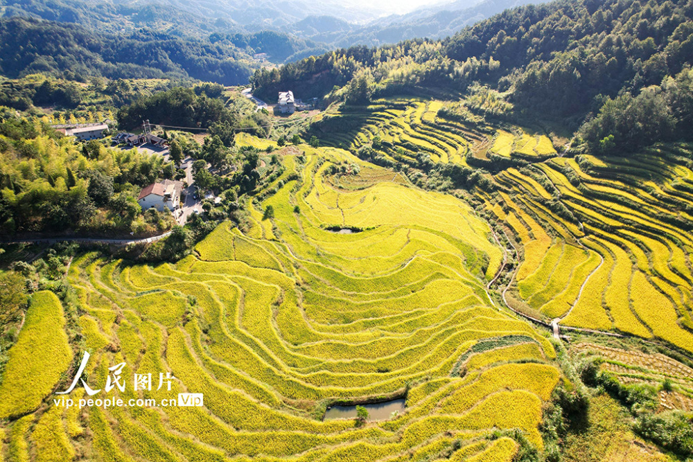 蕲春雾云梯田景点电话图片